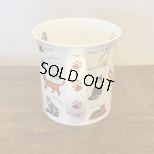 画像3: BUTE ANIMAL BREEDS CAT (3)