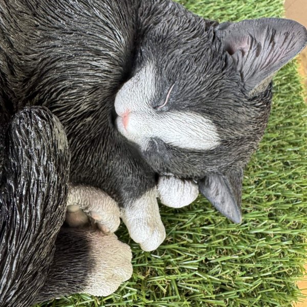 画像2: 眠り猫（白黒） (2)